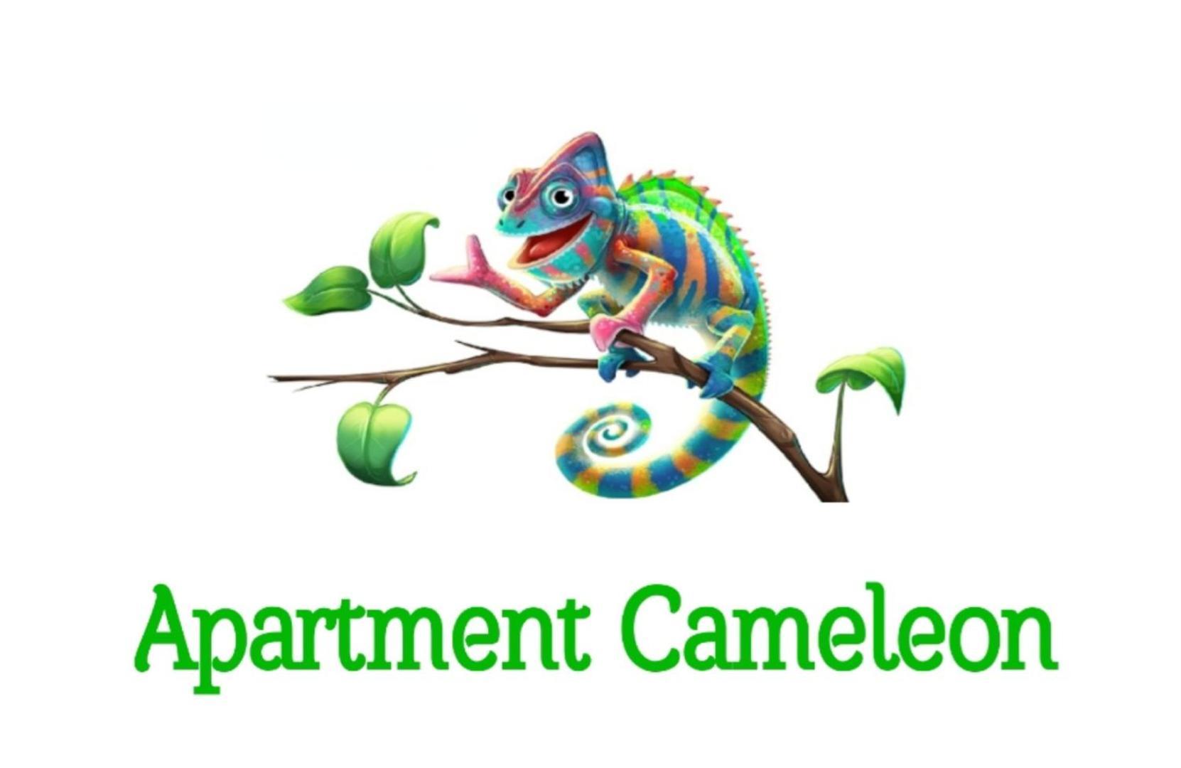Apartment Cameleon Дубровник Экстерьер фото